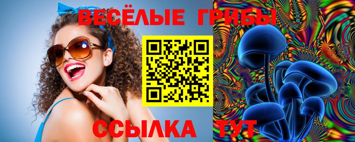 Ачхой-Мартан  купить наркотик  Галлюциногенные грибы Psilocybe  Вход с VPN  Галлюциногенные грибы ЛСД 